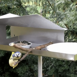 Opossum Birdhouse - VHT 11 RVS